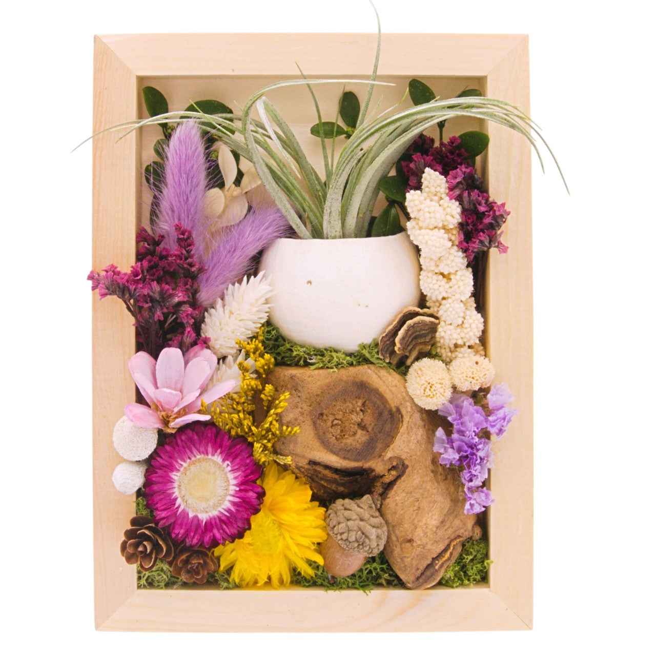 Airplant landscape frame with purple flowers