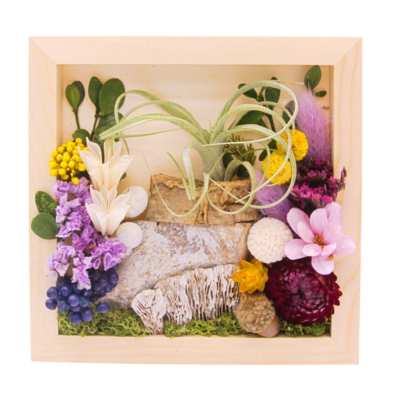 Airplant landscape frame with purple flowers