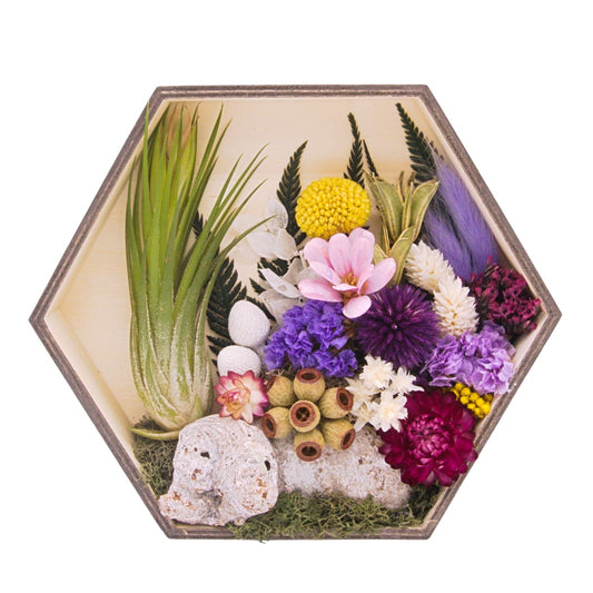Cadres paysagers avec plante aérienne - Hexagone violet