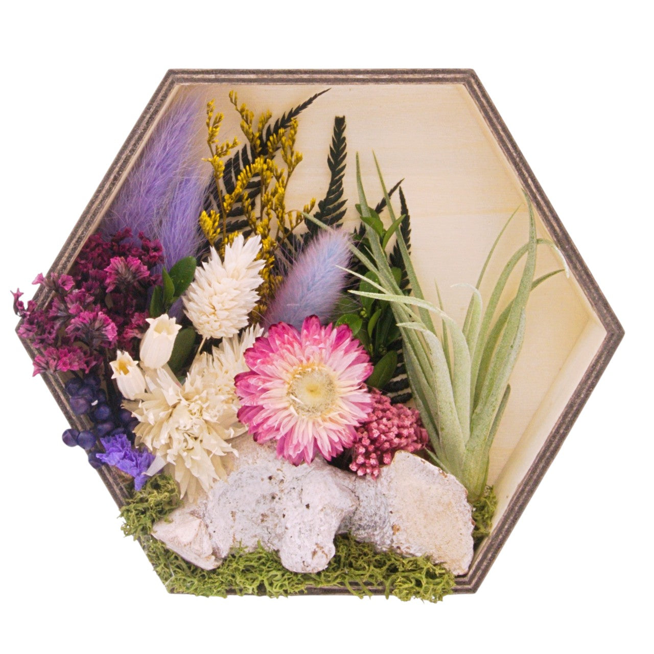 Cadres paysagers avec plante aérienne - Hexagone violet