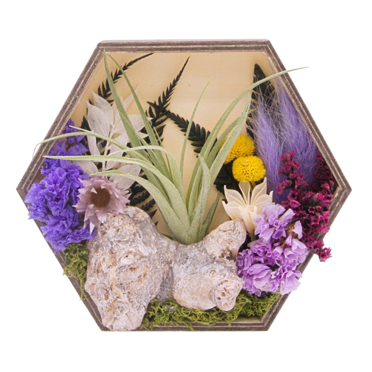 Cadres paysagers avec plante aérienne - Hexagone violet