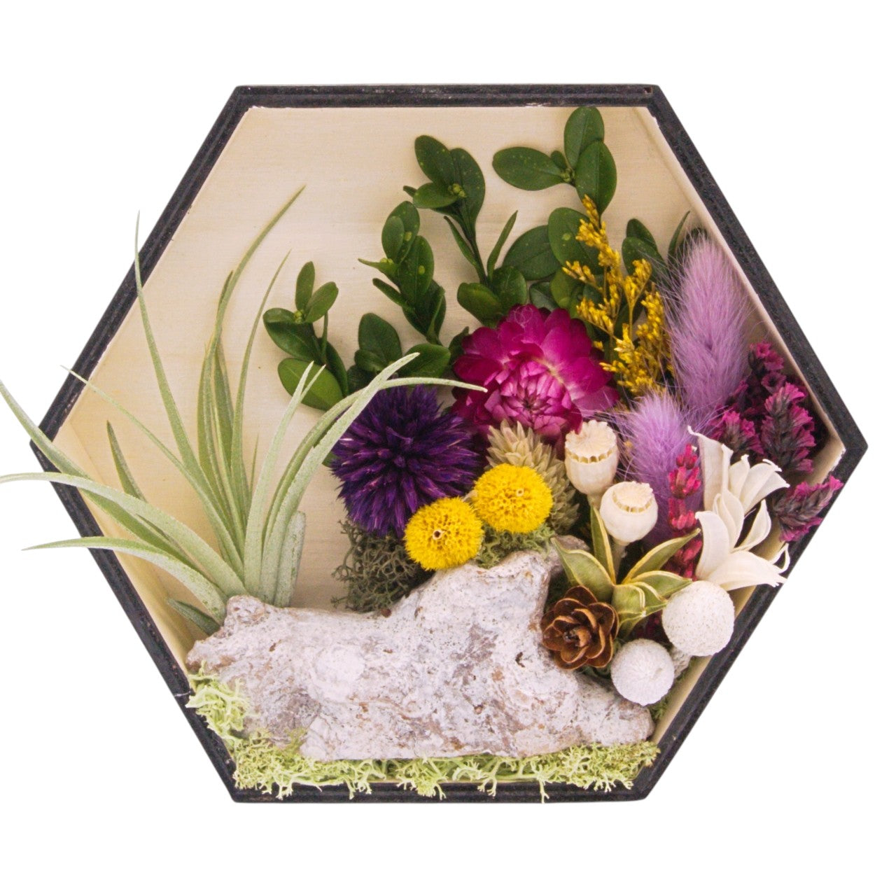Cadres paysagers avec plante aérienne - Hexagone violet