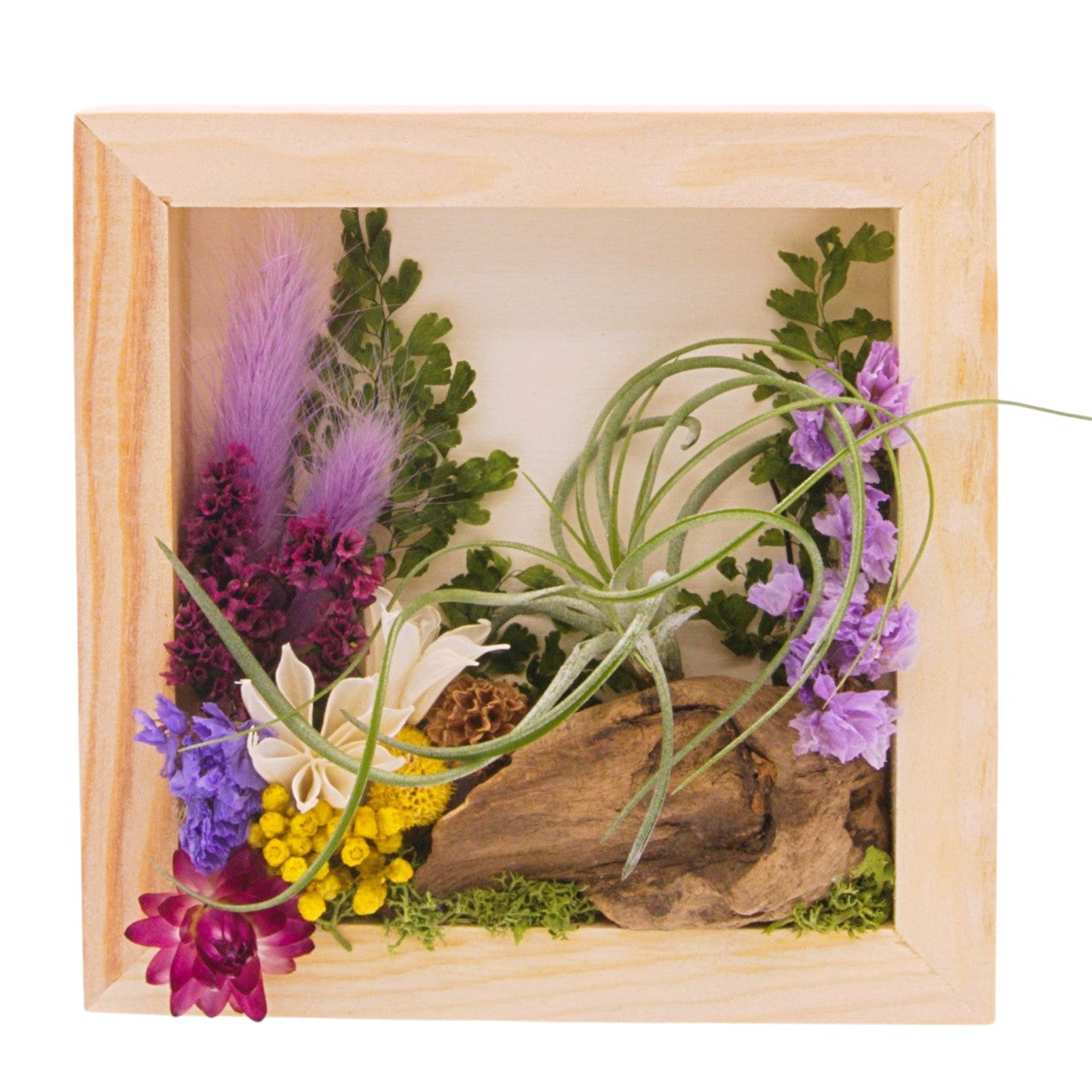 Airplant landscape frame with purple flowers