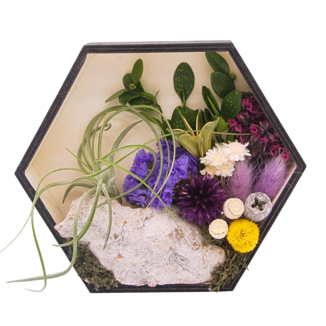 Cadres paysagers avec plante aérienne - Hexagone violet