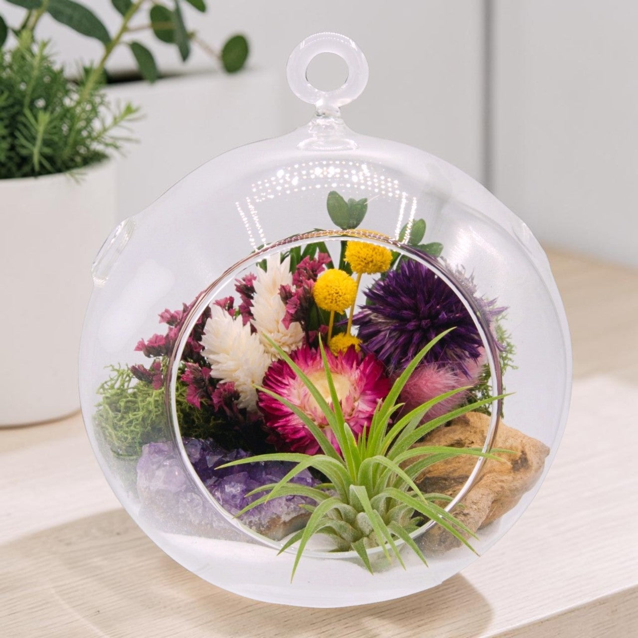 airplant terrarium dried flowers and amethyst