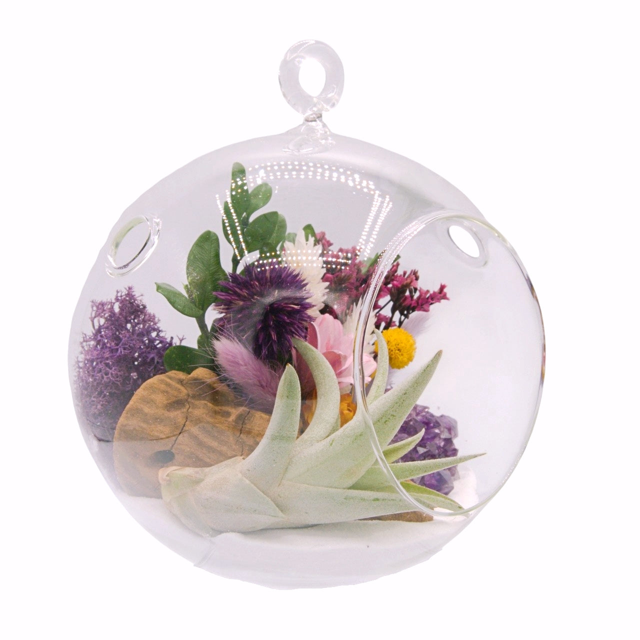 airplant terrarium dried flowers and amethyst