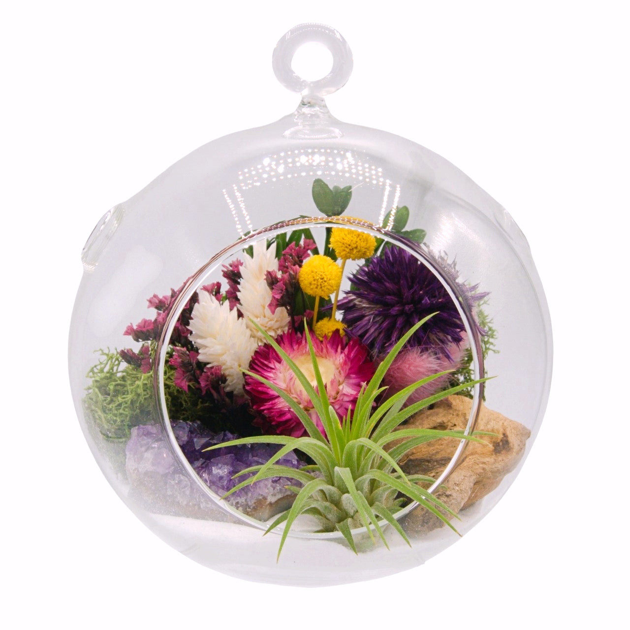 airplant terrarium dried flowers and amethyst