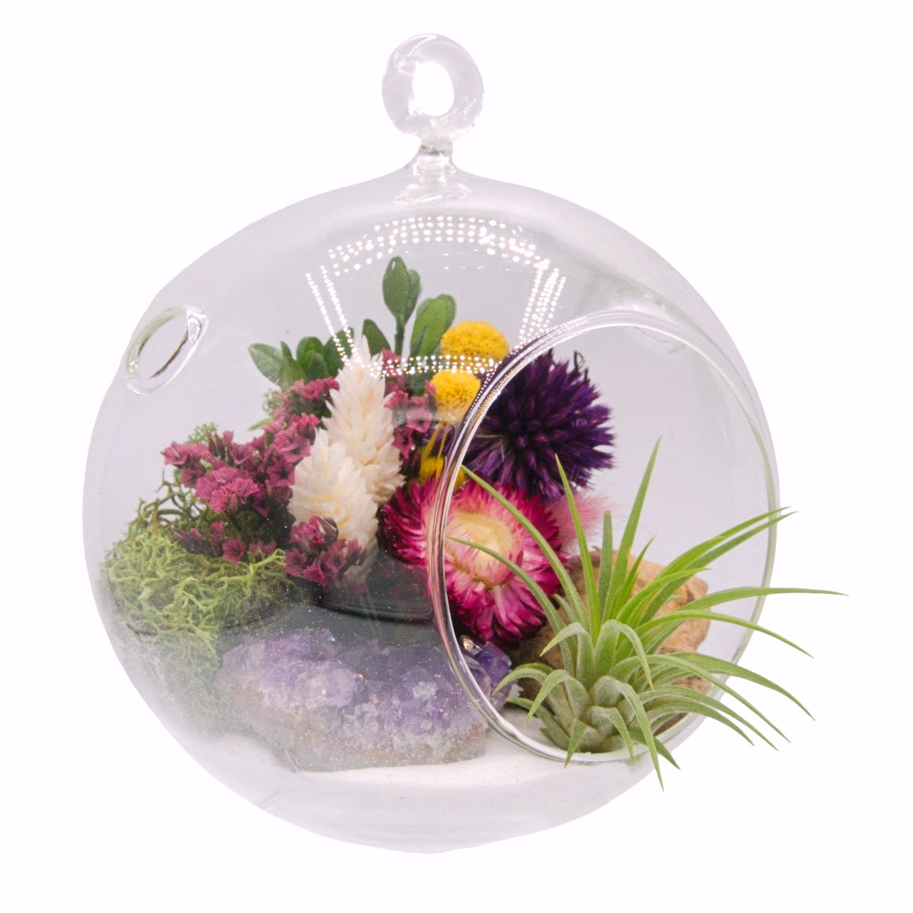 airplant terrarium dried flowers and amethyst