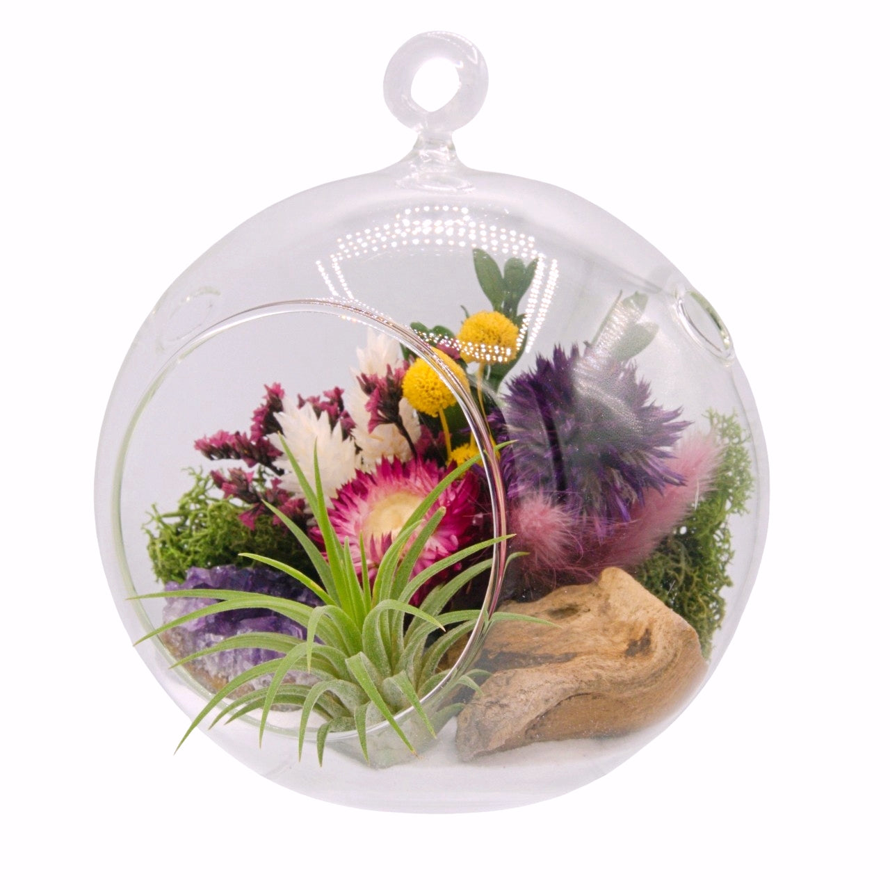 airplant terrarium dried flowers and amethyst