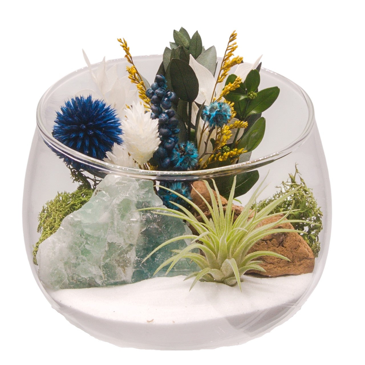 Terrarium bol avec plante aérienne - Fluorite