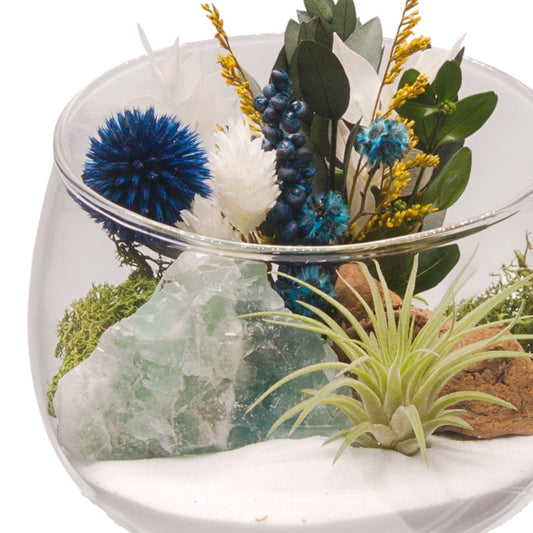 Terrarium bol avec plante aérienne - Fluorite