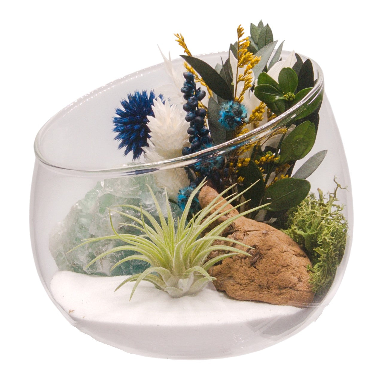 Terrarium bol avec plante aérienne - Fluorite