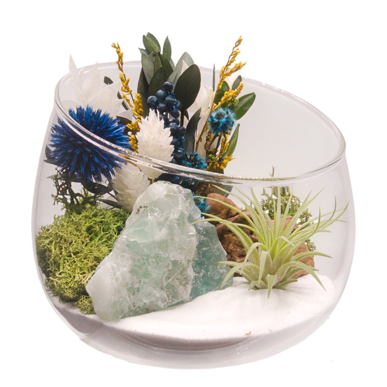 Terrarium bol avec plante aérienne - Fluorite