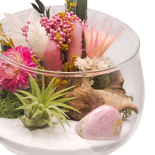 Terrarium bol avec plante aérienne - Rhodonite