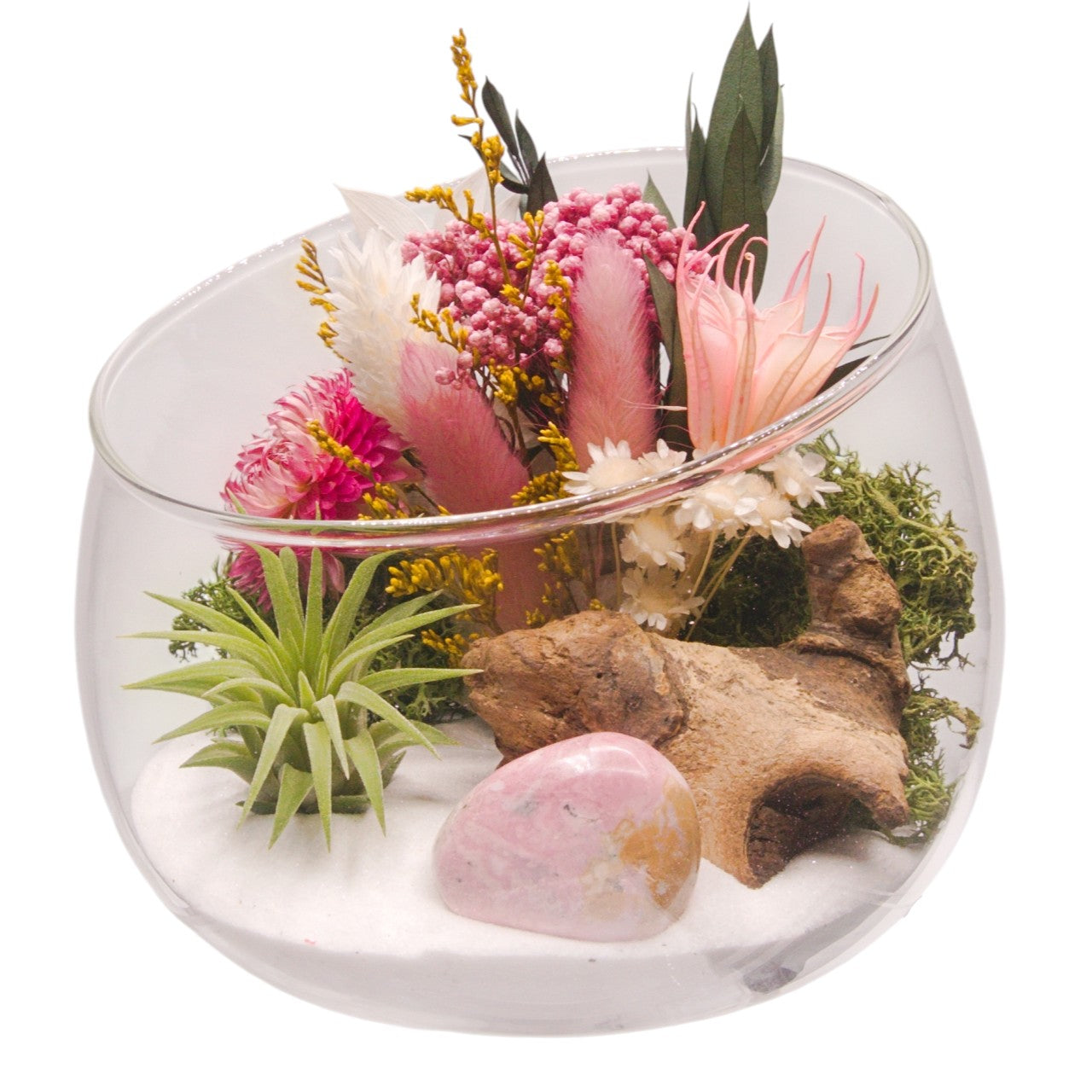 Terrarium bol avec plante aérienne - Rhodonite