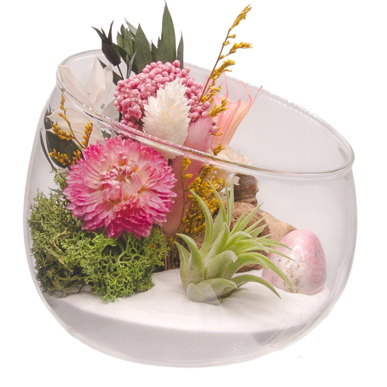 Terrarium bol avec plante aérienne - Rhodonite