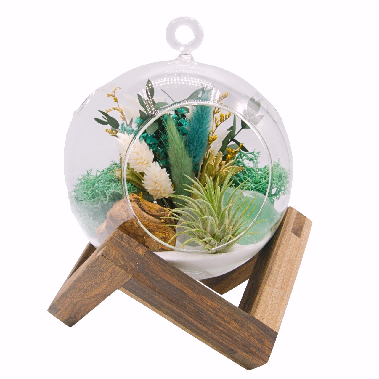 Airplant Bubble Terrarium Medium - Fluorite