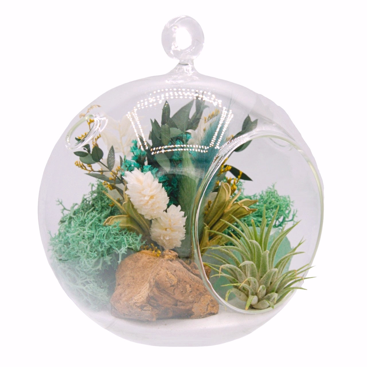 airplant terrarium with dried flowers and a fluorite crystal