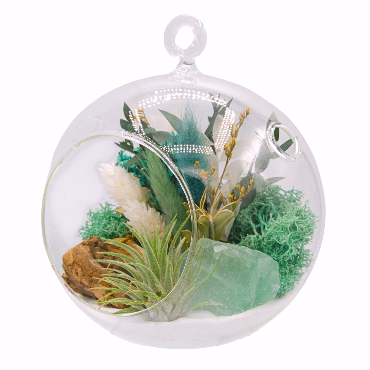 airplant terrarium with dried flowers and a fluorite crystal