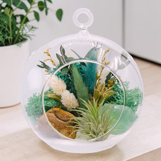 airplant terrarium with dried flowers and a fluorite crystal