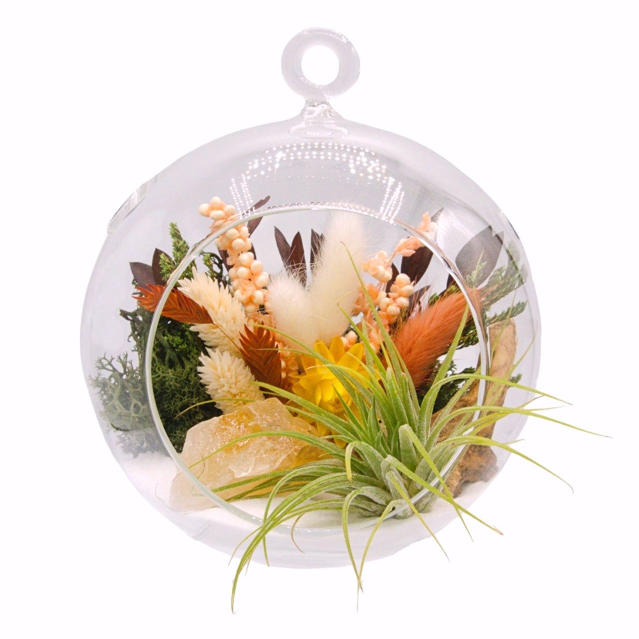 Airplant Bubble Terrarium Medium - Mexican Calcite