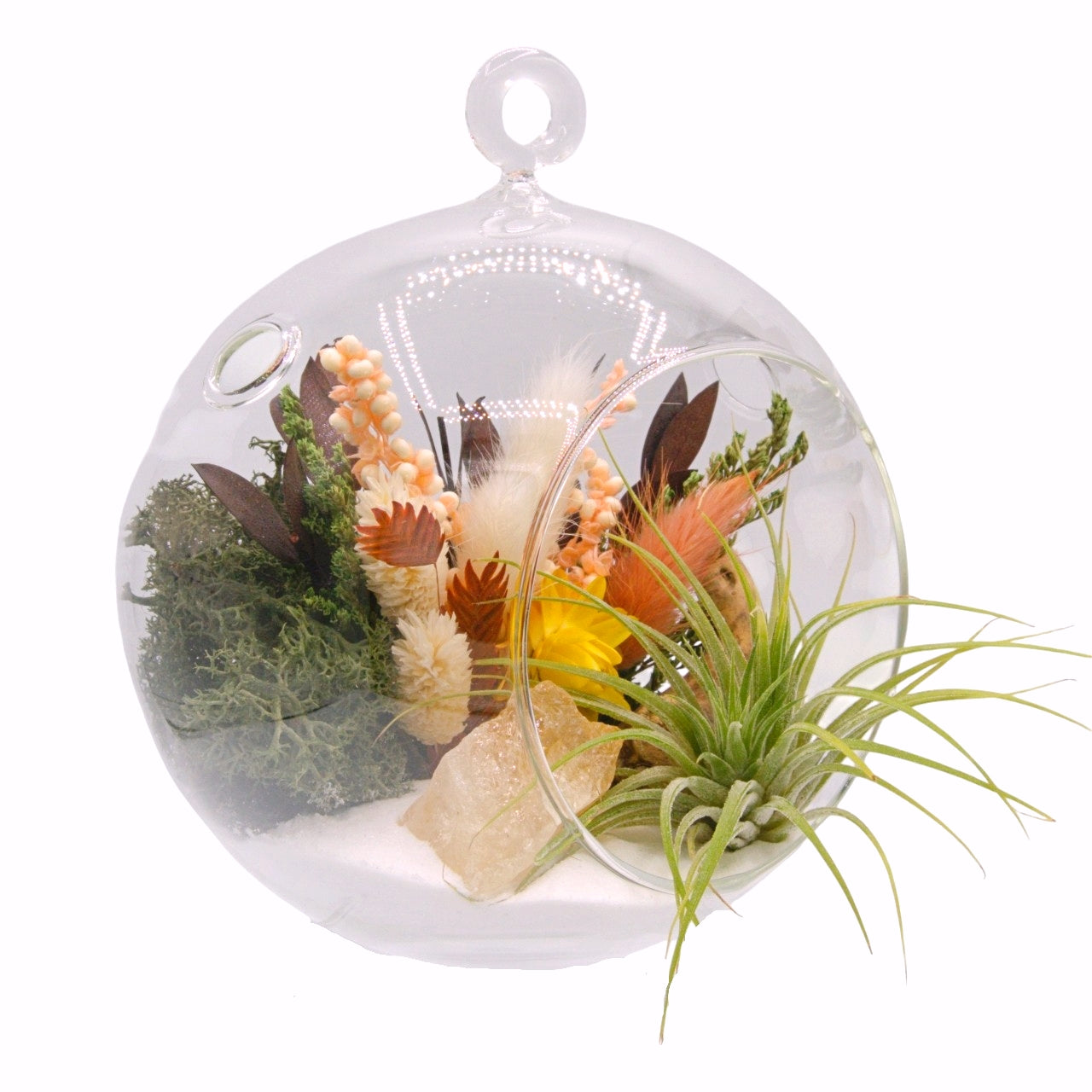 Airplant Bubble Terrarium Medium - Mexican Calcite