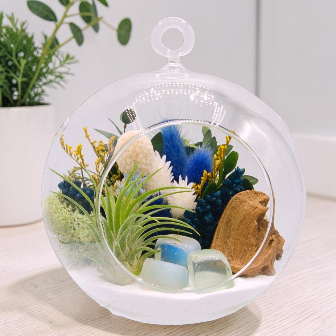 airplant terrarium with dried flowers and three opalite crystals