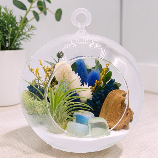 airplant terrarium with dried flowers and three opalite crystals