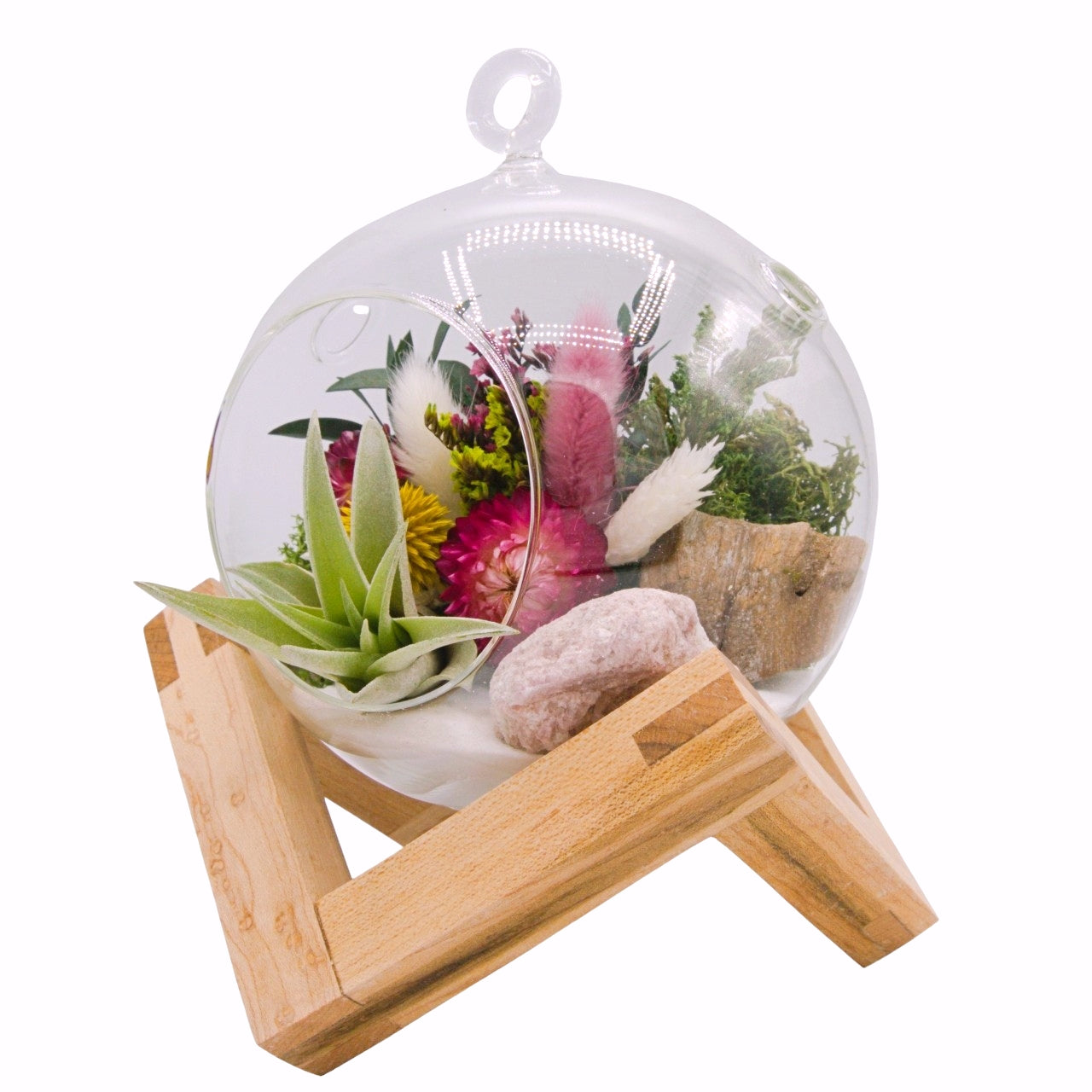 airplant terrarium with dried flowers, and a pink tourmaline crystal