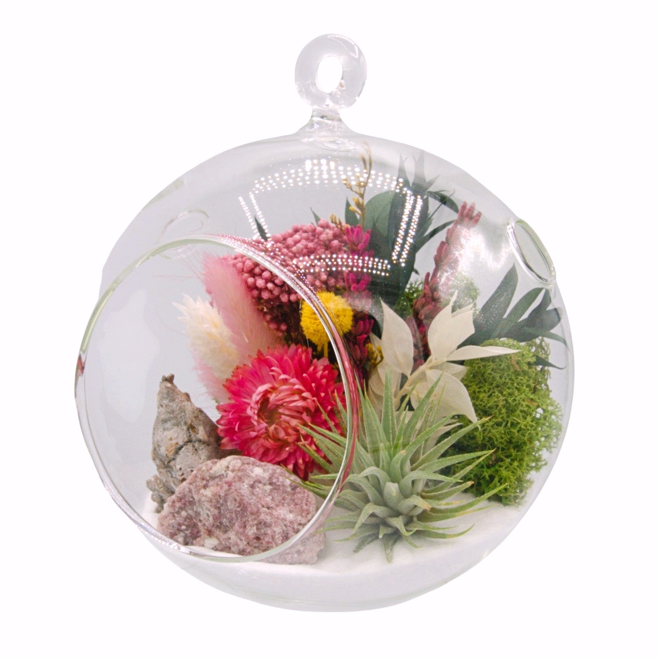 airplant terrarium with dried flowers, and a pink tourmaline crystal