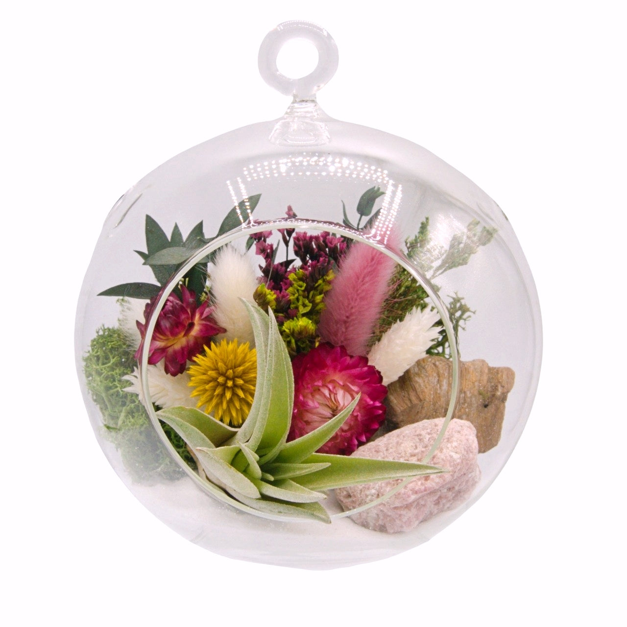 airplant terrarium with dried flowers, and a pink tourmaline crystal