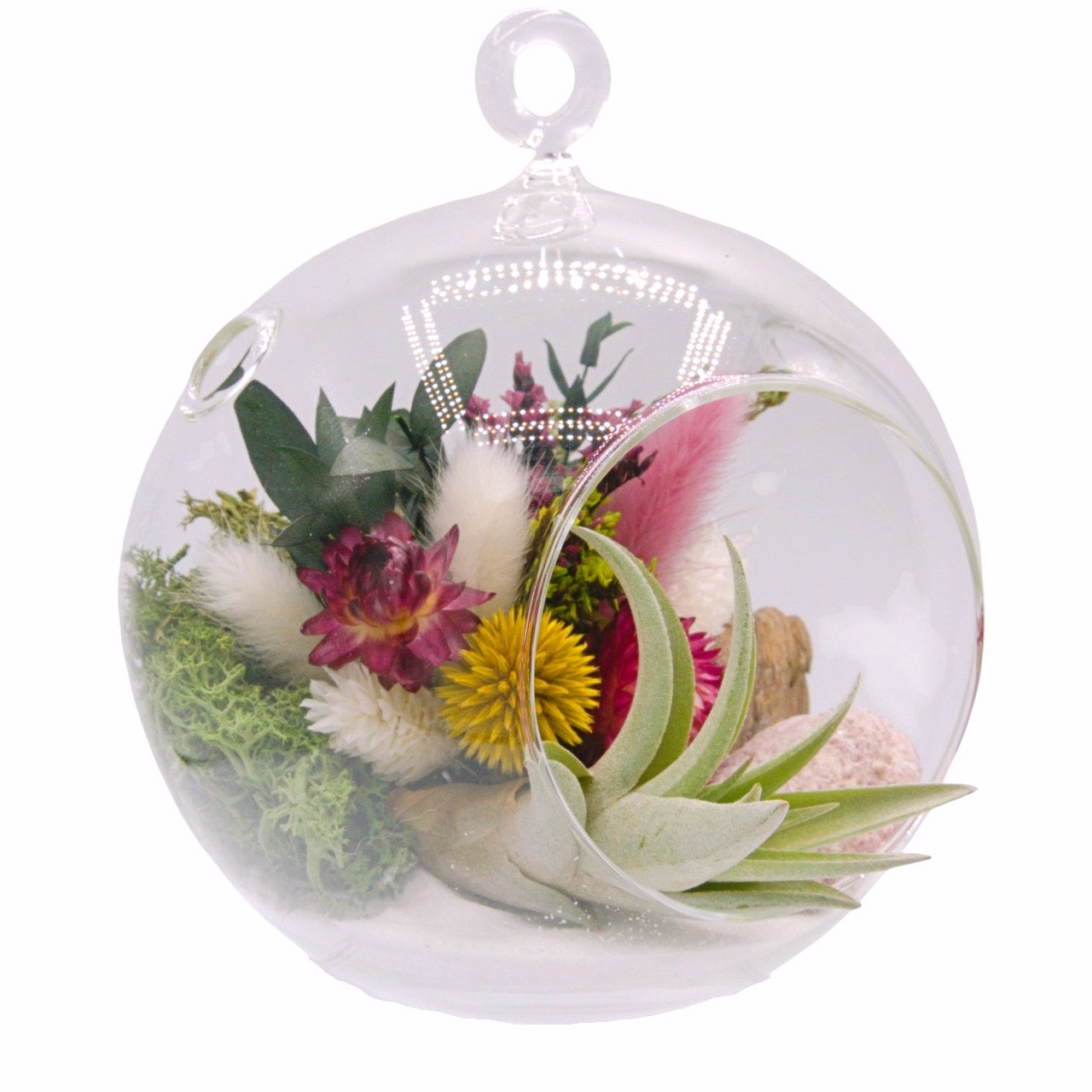 airplant terrarium with dried flowers, and a pink tourmaline crystal