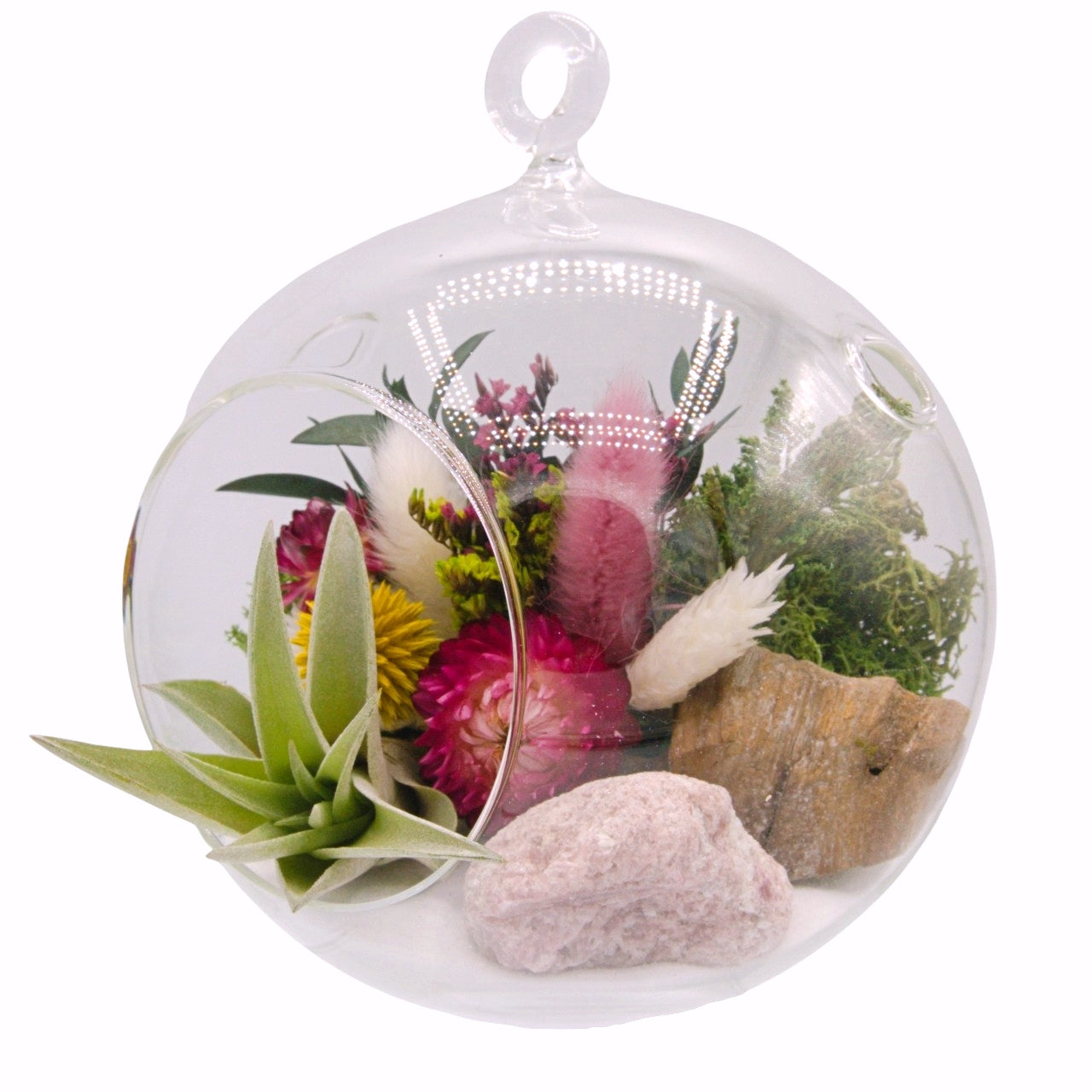 airplant terrarium with dried flowers, and a pink tourmaline crystal