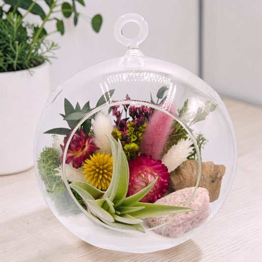 airplant terrarium with dried flowers, and a pink tourmaline crystal