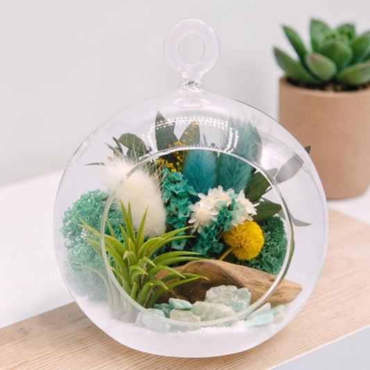 Airplant Bubble Terrarium Small - Aventurine