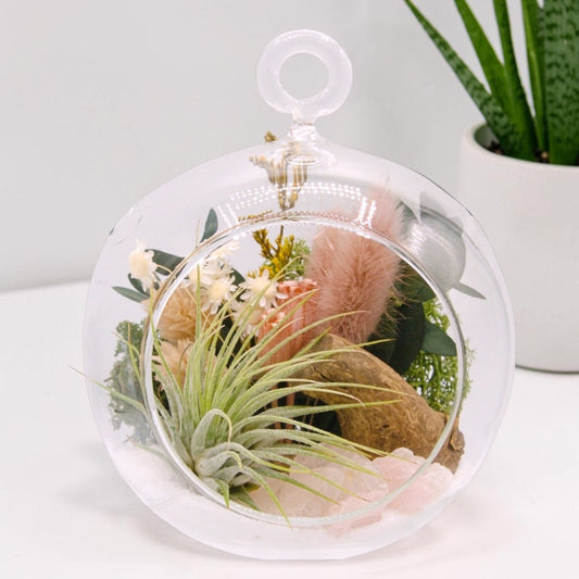 Airplant Bubble Terrarium Small - Pink Quartz