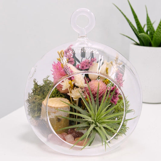 Airplant Bubble Terrarium Small - Strawberry Quartz