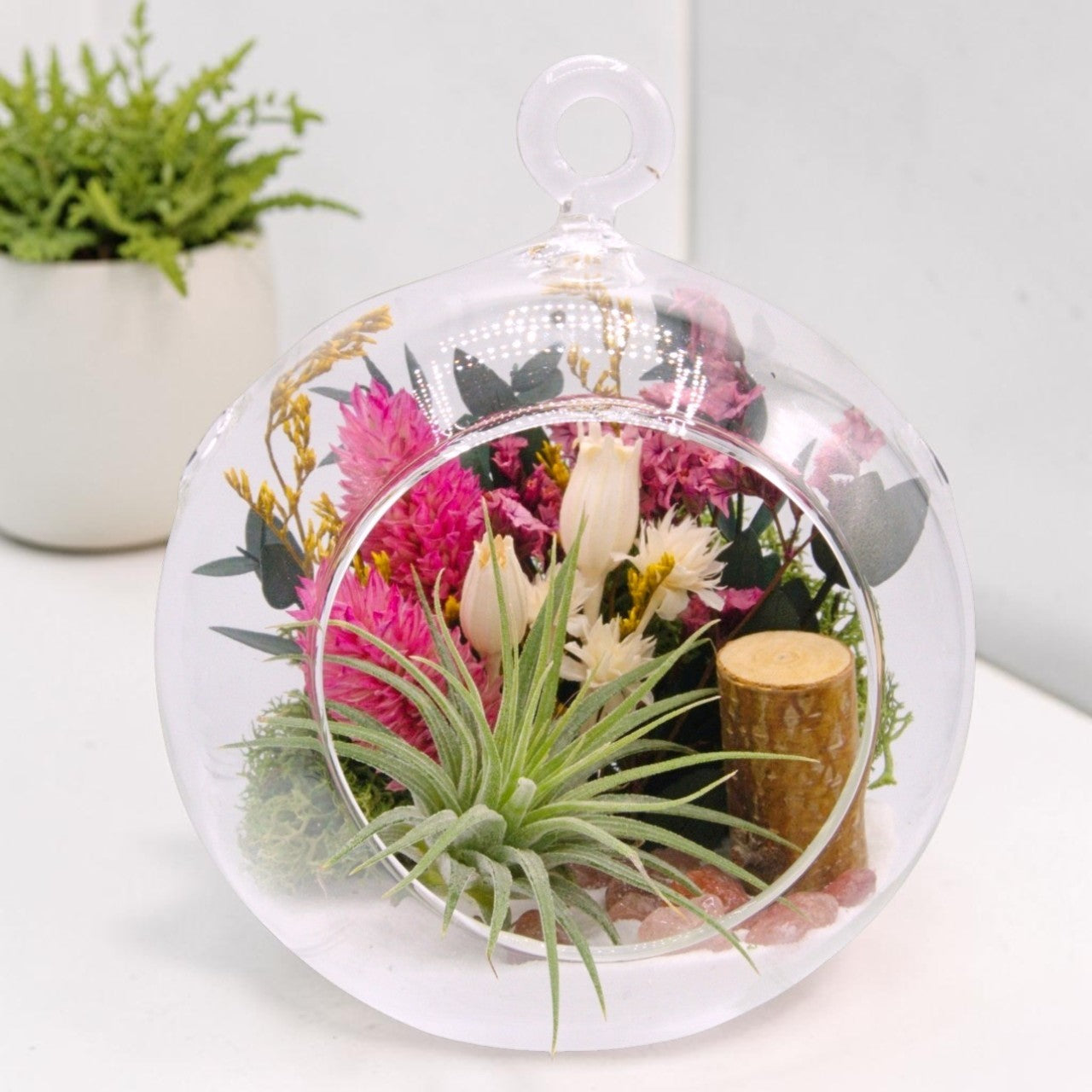 Airplant Bubble Terrarium Small - Strawberry Quartz