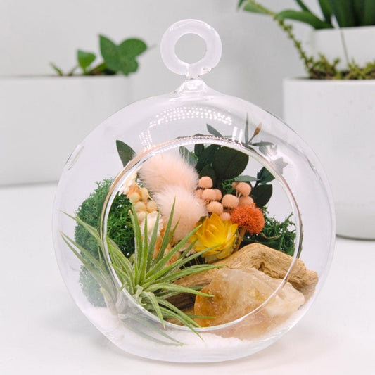 Airplant Bubble Terrarium Small - Yellow Calcite