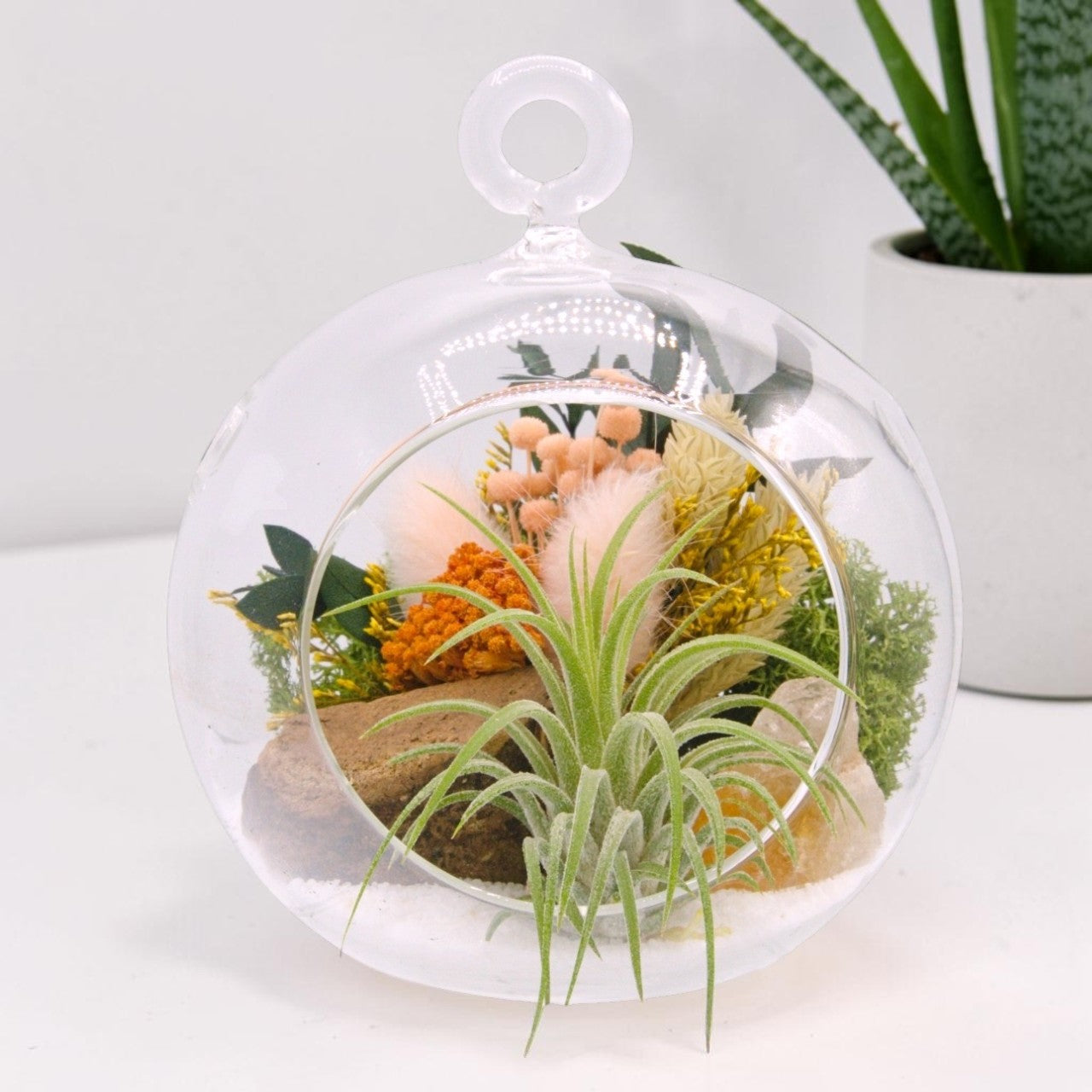 Airplant Bubble Terrarium Small - Yellow Calcite
