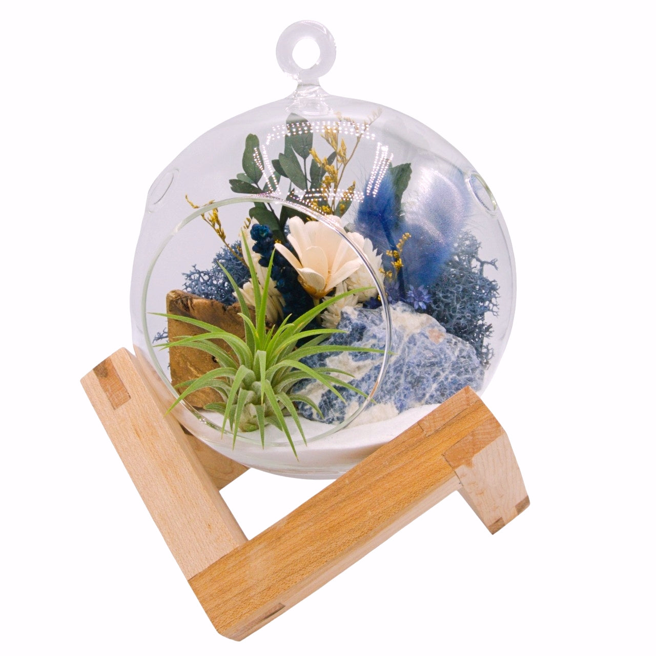 Airplant Bubble Terrarium Medium - Sodalite