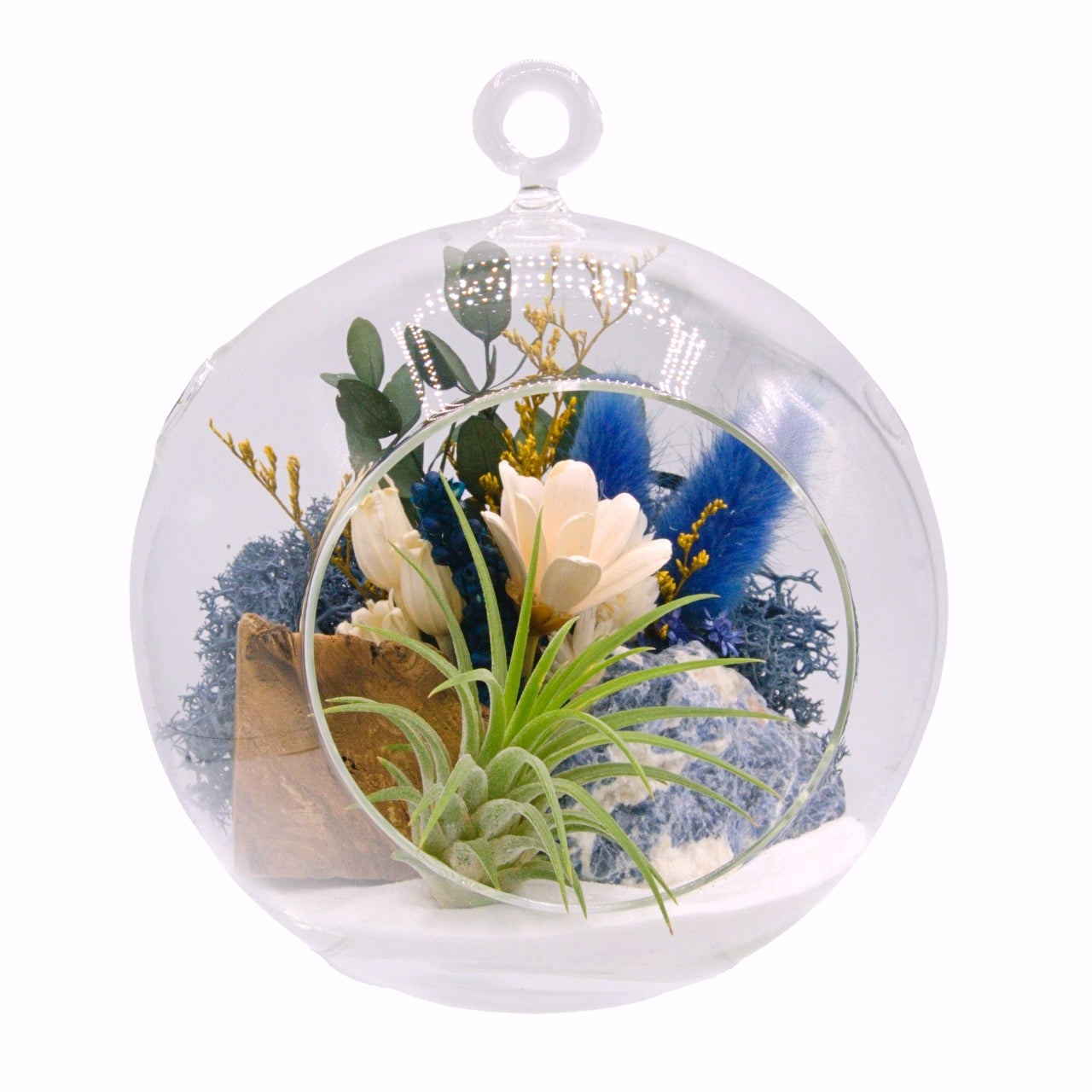 Airplant Bubble Terrarium Medium - Sodalite