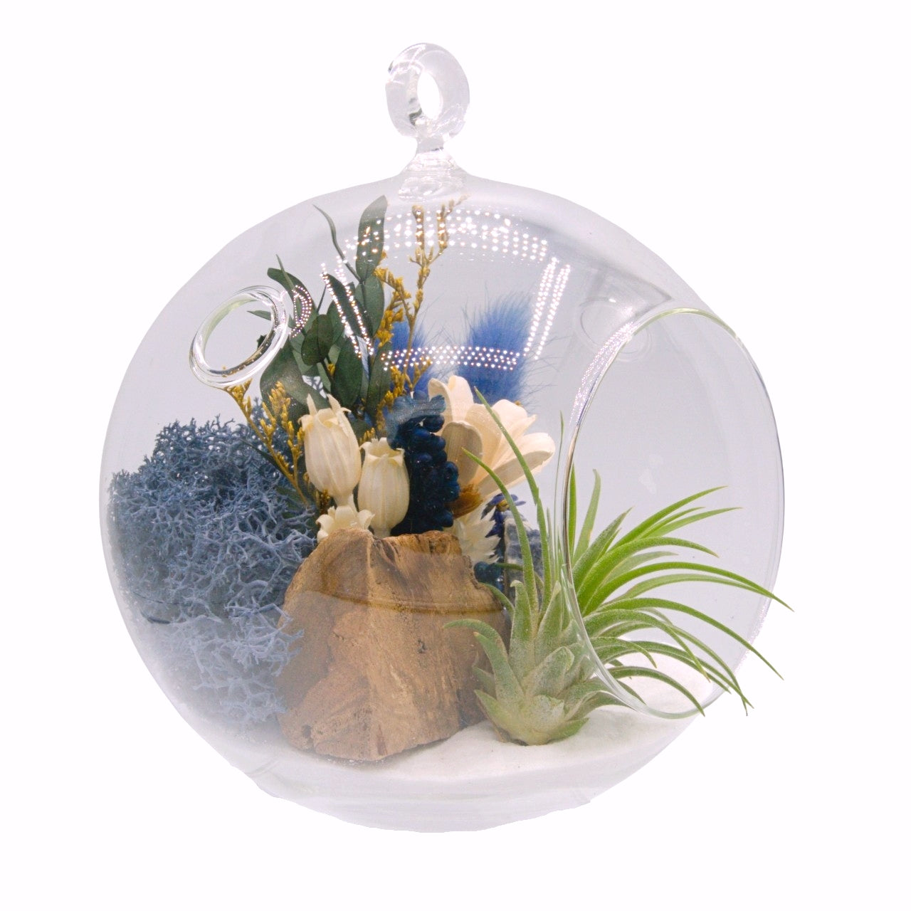 Airplant Bubble Terrarium Medium - Sodalite