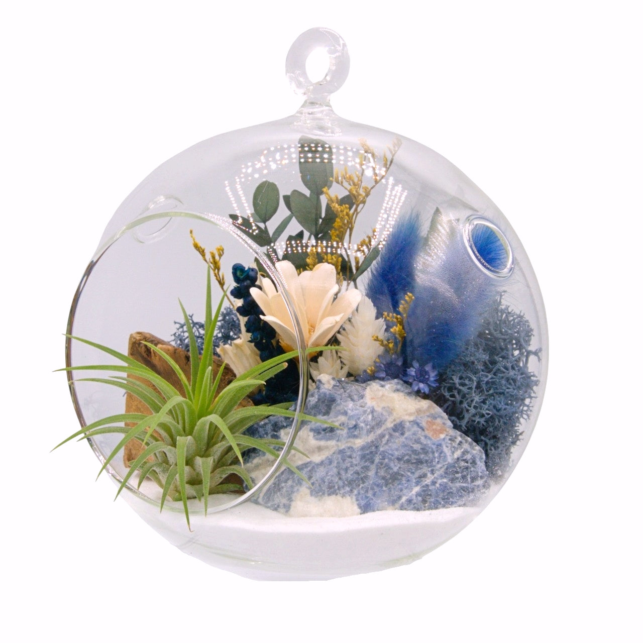 Airplant Bubble Terrarium Medium - Sodalite