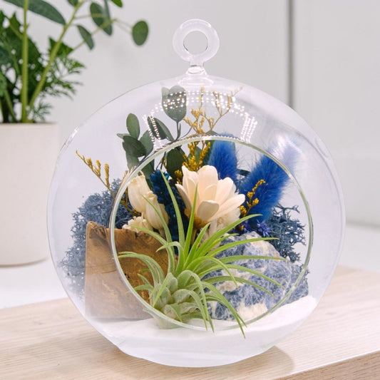 Airplant Bubble Terrarium Medium - Sodalite
