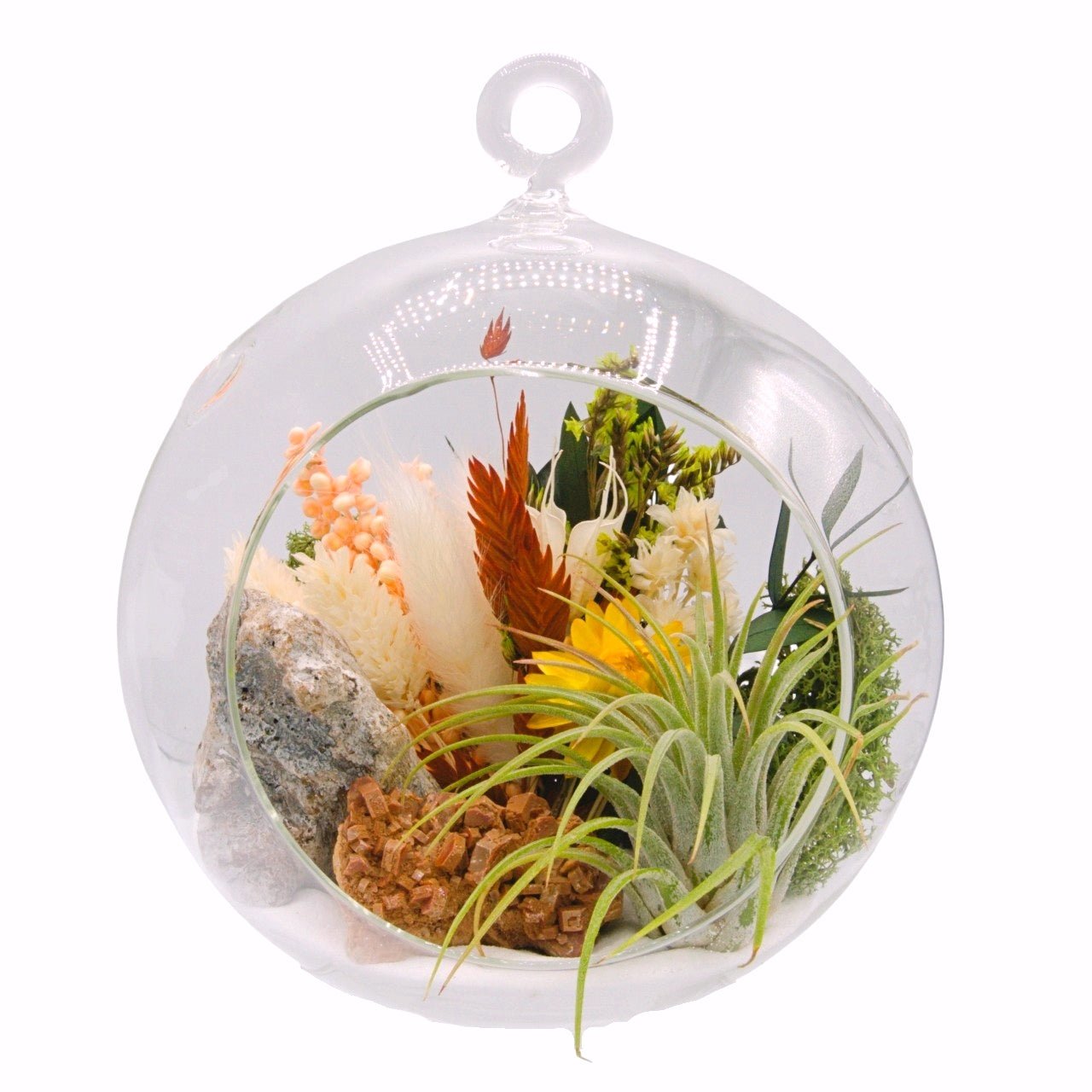 airplant terrarium with dried flowers and a vanadinite crystal