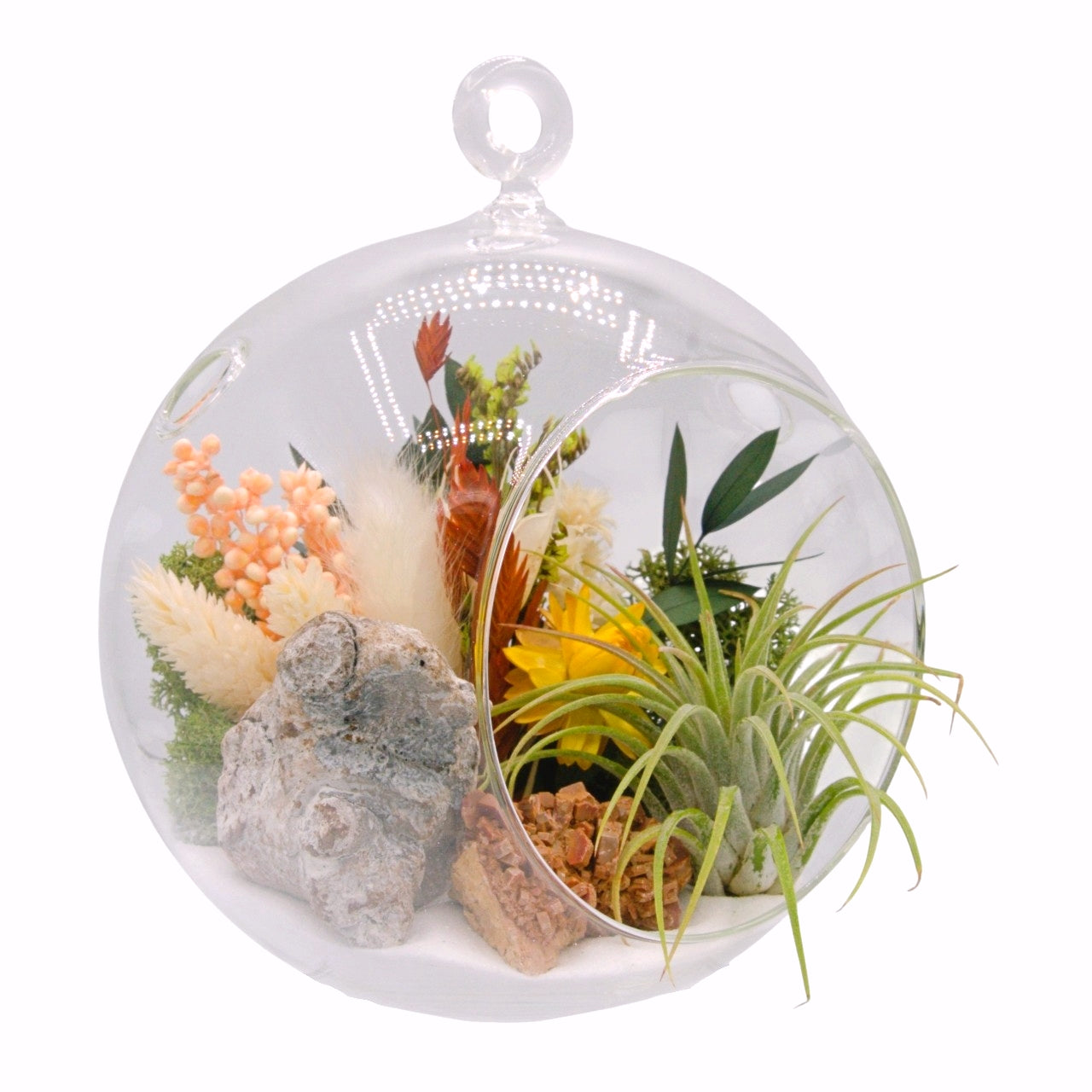 airplant terrarium with dried flowers and a vanadinite crystal