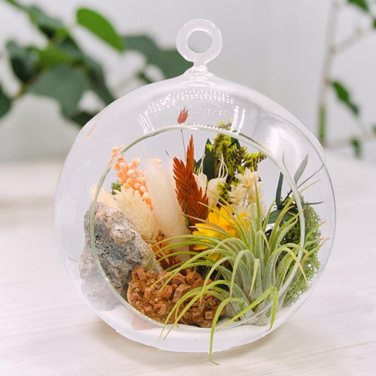 airplant terrarium with dried flowers and a vanadinite crystal