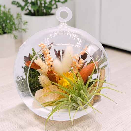 Airplant Bubble Terrarium Medium - Mexican Calcite