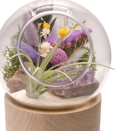 Terrarium à bulle moyen avec base en bois et cristal d'améthyst